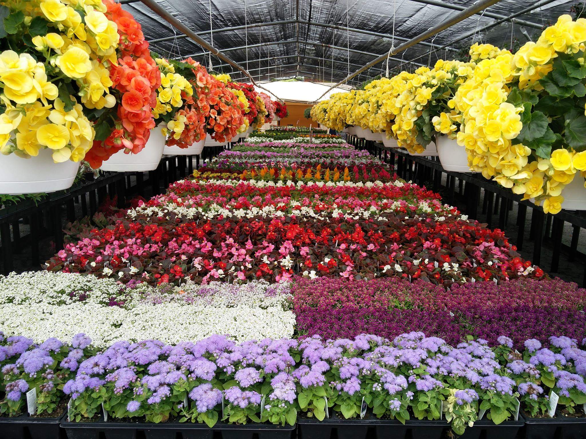 Garden Center Associate in Sterling, VA, USA ...