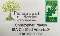 Paramount Tree Services