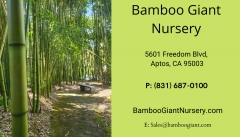Bamboo Giant Nursery, Inc.