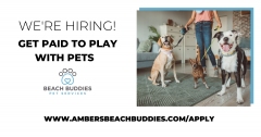 Beach Buddies Pet Services