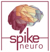 Spike Neuro