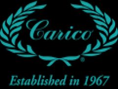 turquoise-carico-logo.png